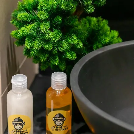 Sea Light - Comfort - By Rentmonkey