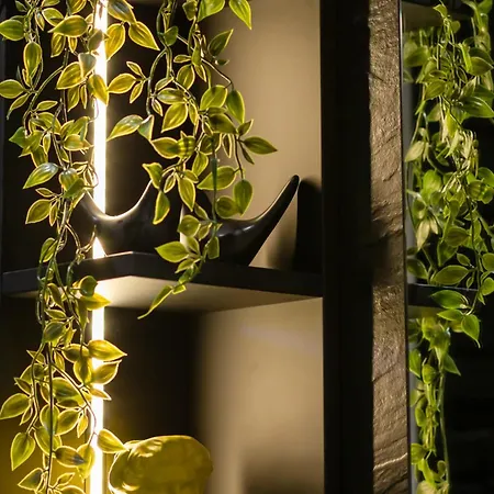 Sea Light - Comfort - By Rentmonkey Apartment